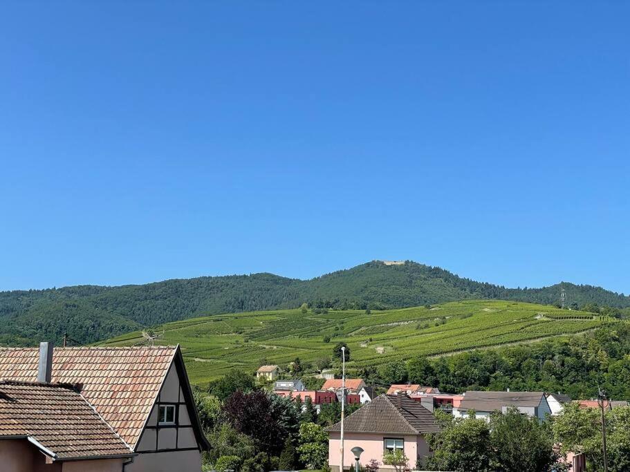 A2 Pas De Colmar Terrasse,Parking Daire Wintzenheim Dış mekan fotoğraf