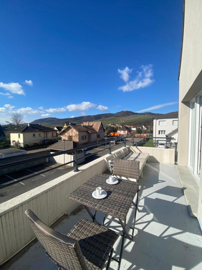 A2 Pas De Colmar Terrasse,Parking Daire Wintzenheim Dış mekan fotoğraf